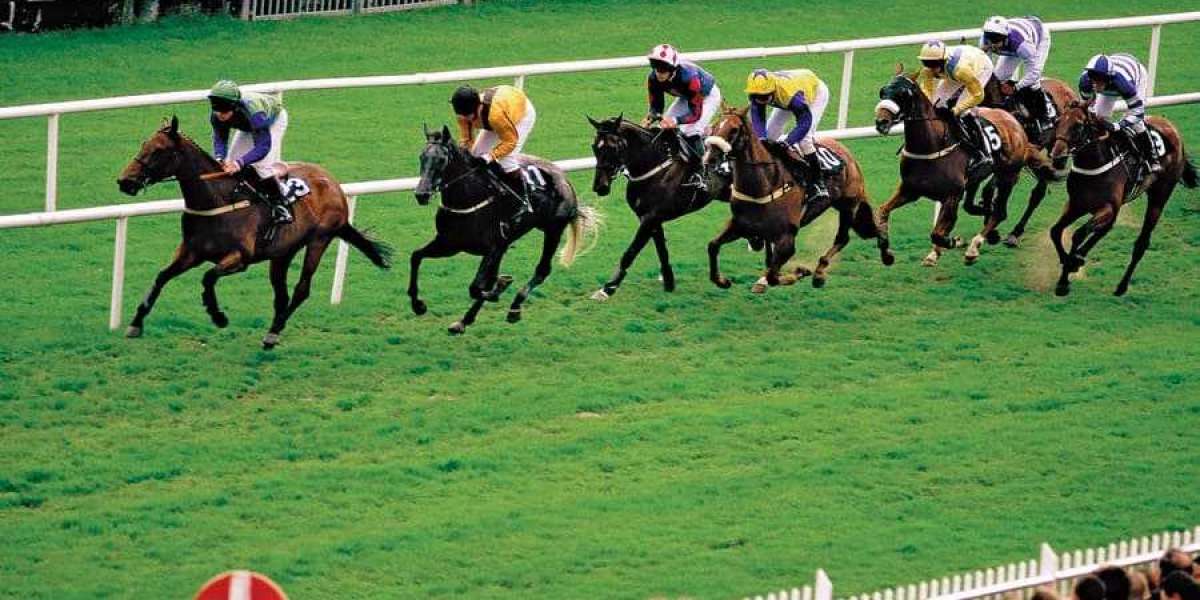 Discovering Korean Sports Betting Site