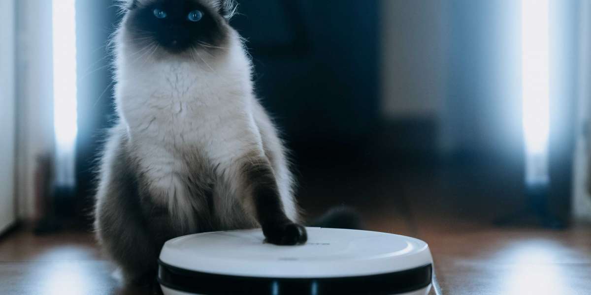 See What Best Affordable Robot Vacuum Tricks The Celebs Are Using