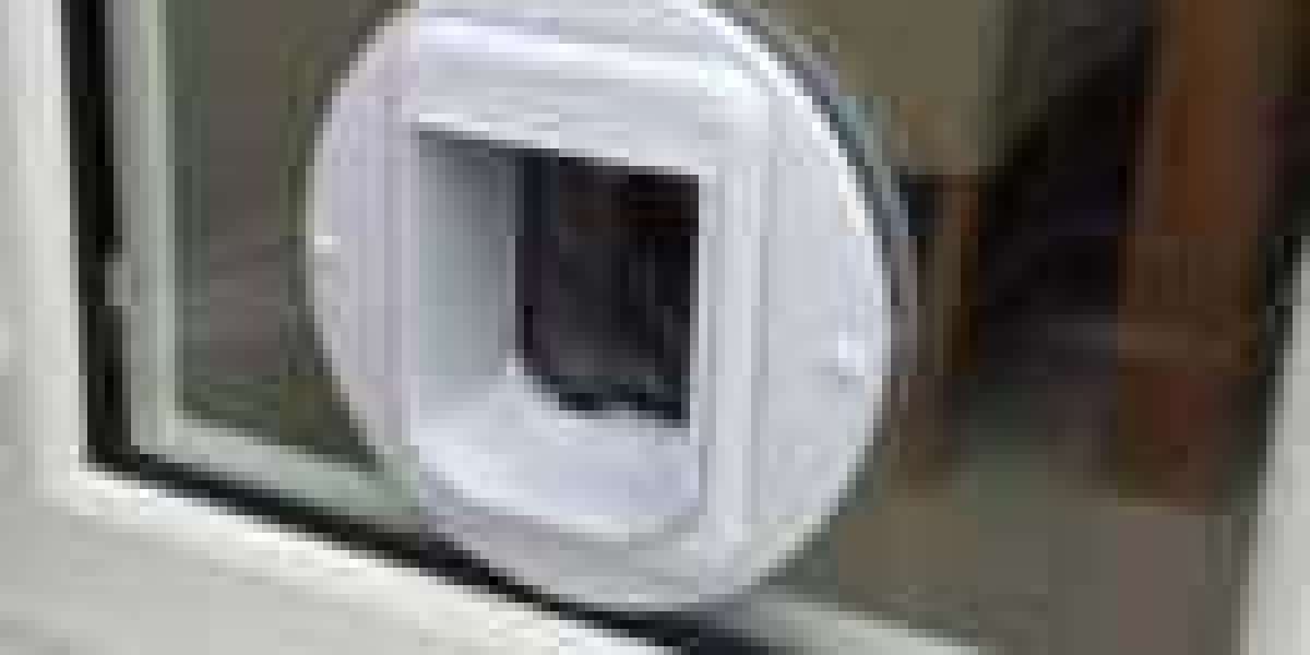 See What Cat Door Experts Tricks The Celebs Are Using